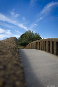 11052025-011.jpg - Photo par AbesNeits