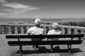 11052025-028.jpg - Photo par AbesNeits