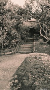 21012023-004.jpg - Photo par AbesNeits