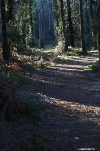 08102025-057.jpg - Photo par AbesNeits