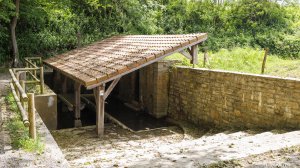 10052022-002.jpg - Photo par AbesNeits