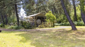 27052022-009.jpg - Photo par AbesNeits