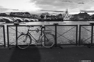 05012025-039.jpg - Photo par AbesNeits