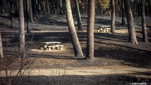 03082020-006.jpg - Photo par AbesNeits