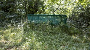 15082020-001.jpg - Photo par AbesNeits