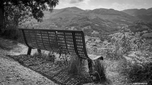 15082020-005.jpg - Photo par AbesNeits