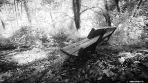 25052021-001.jpg - Photo par AbesNeits