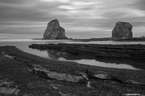 08102014-IMG_0750.jpg - Photo par AbesNeits