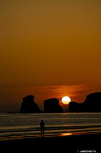 20062025-081.jpg - Photo par AbesNeits