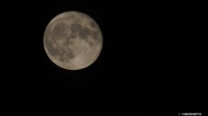 31082023-036.jpg - Photo par AbesNeits