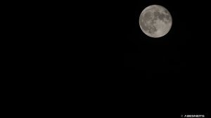 31082023-044.jpg - Photo par AbesNeits