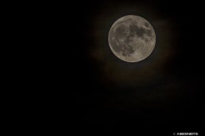 31082023-050.jpg - Photo par AbesNeits