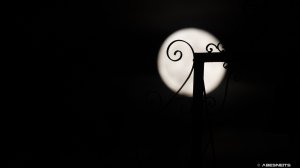 31082023-027.jpg - Photo par AbesNeits