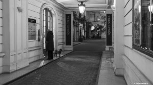 23122021-002.jpg - Photo par AbesNeits