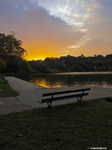 19102025-022.jpg - Photo par AbesNeits