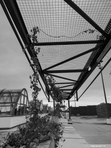 Parking le matin - Photo par AbesNeits