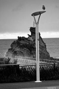 26082025-064.jpg - Photo par AbesNeits