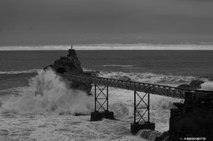 26082025-192.jpg - Photo par AbesNeits