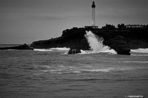 26082025-230.jpg - Photo par AbesNeits