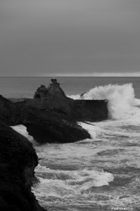 26082025-311.jpg - Photo par AbesNeits