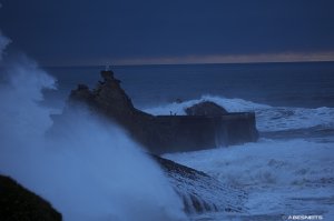 26082025-353.jpg - Photo par AbesNeits