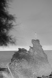 26082025-376.jpg - Photo par AbesNeits