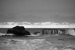 26082025-394.jpg - Photo par AbesNeits