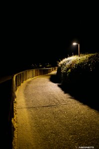 18112025-008-2.jpg - Photo par AbesNeits