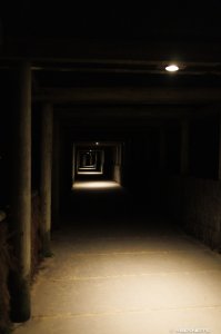 18112025-011.jpg - Photo par AbesNeits