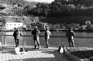 02022025 014 - Photographie Donostia par AbesNeits