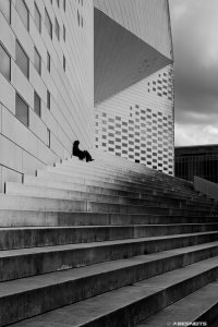 06032026 011 - Photographie Bordeaux par AbesNeits