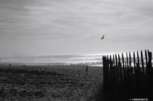 16042026 011 - Photographie Anglet par AbesNeits