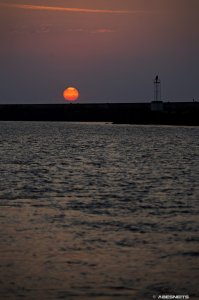 26062026 014 - Photographie Anglet par AbesNeits