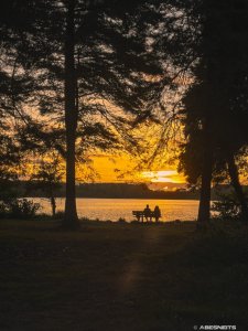 17092026 011 - Photographie Soleil par AbesNeits