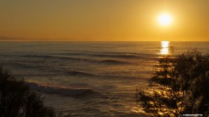 28092023 021 - Photographie Soleil par AbesNeits